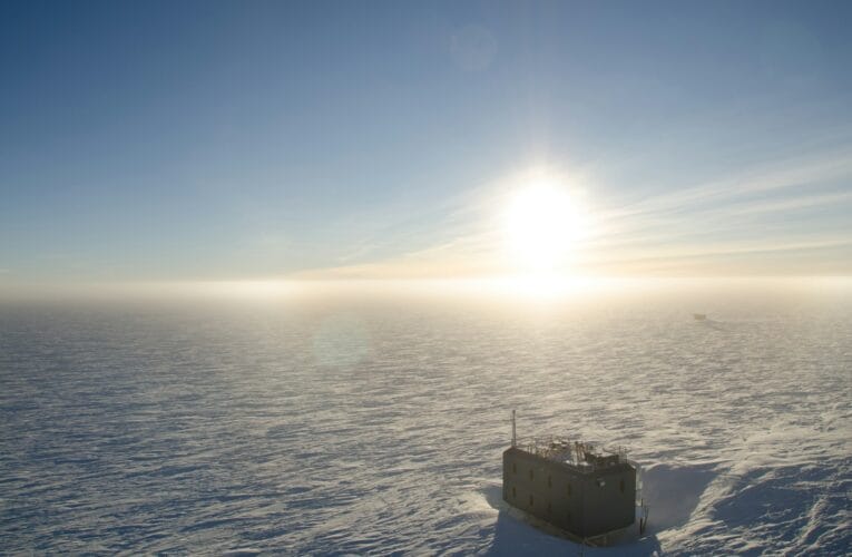 Hogyan küzdhetünk a klímaváltozás ellen? 5 egyszerű lépés
