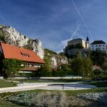 house near trees during daytime